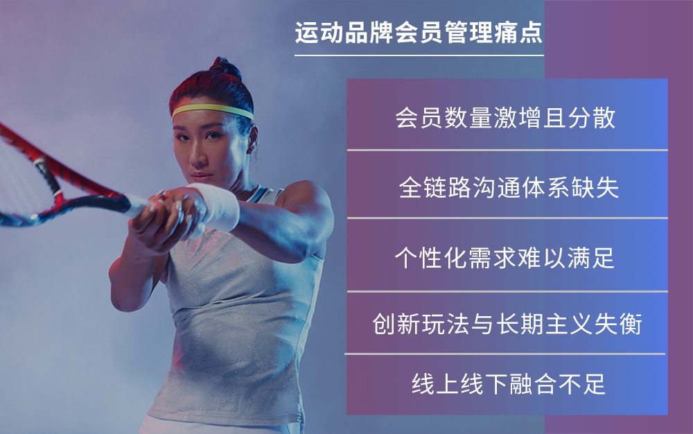 群硕软件